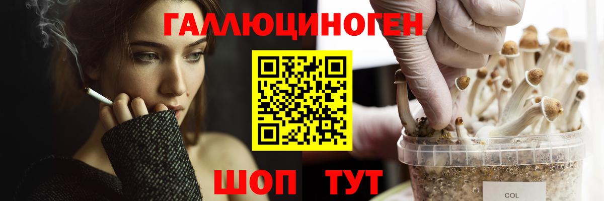 Псилоцибиновые грибы GOLDEN TEACHER  Вход с VPN  Тамбов 